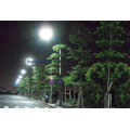 Ce TUV Outdoor IP65 High Lumen 120W LED Street Light with Factory Price